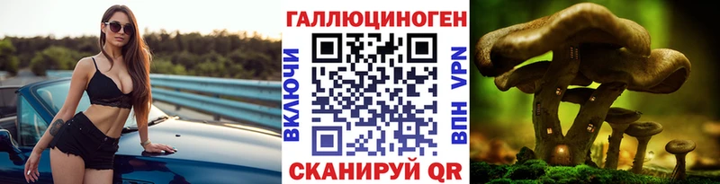 Галлюциногенные грибы Cubensis  Динская 